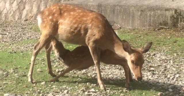 c69fbd03d9eb1cefe9e7fd636cfa62