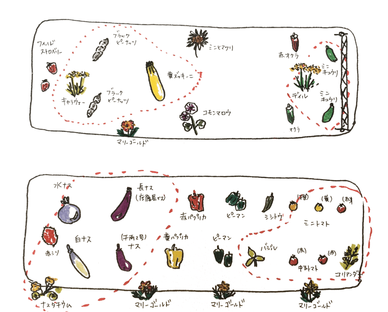 畑の夏野菜プラン Machinoniwa マチノニワ イラストレーター Note