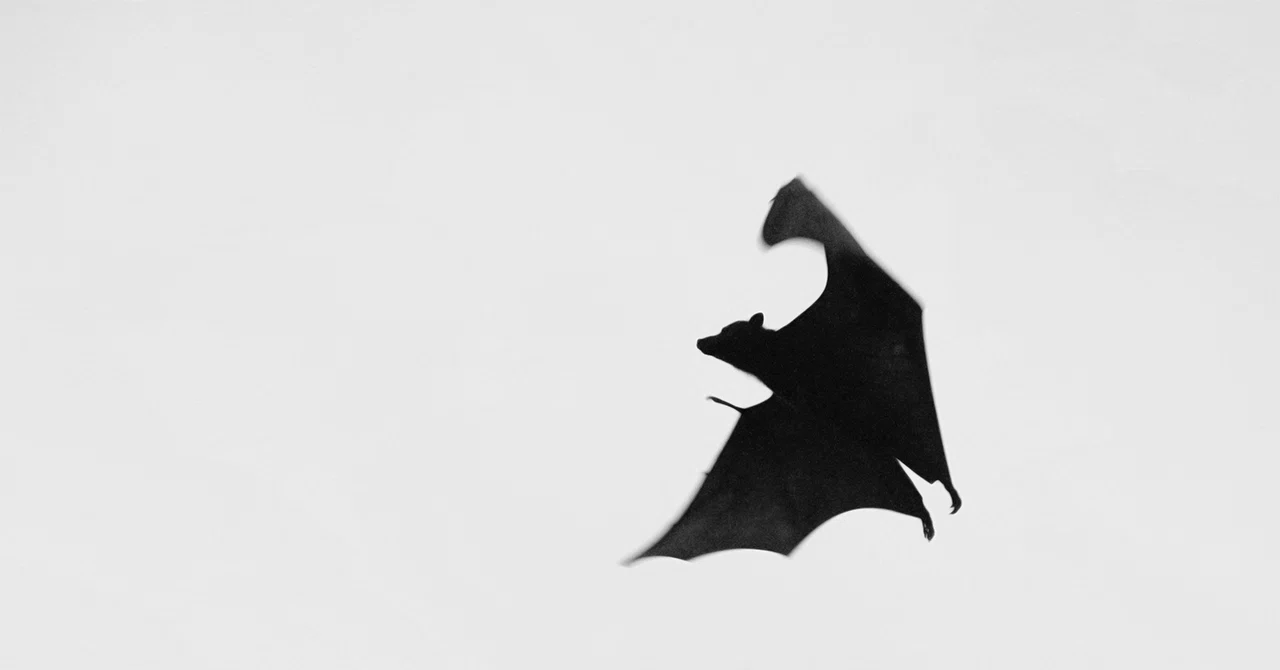 生物から見た世界 環世界 とは何か 緒方 壽人 Takram Note