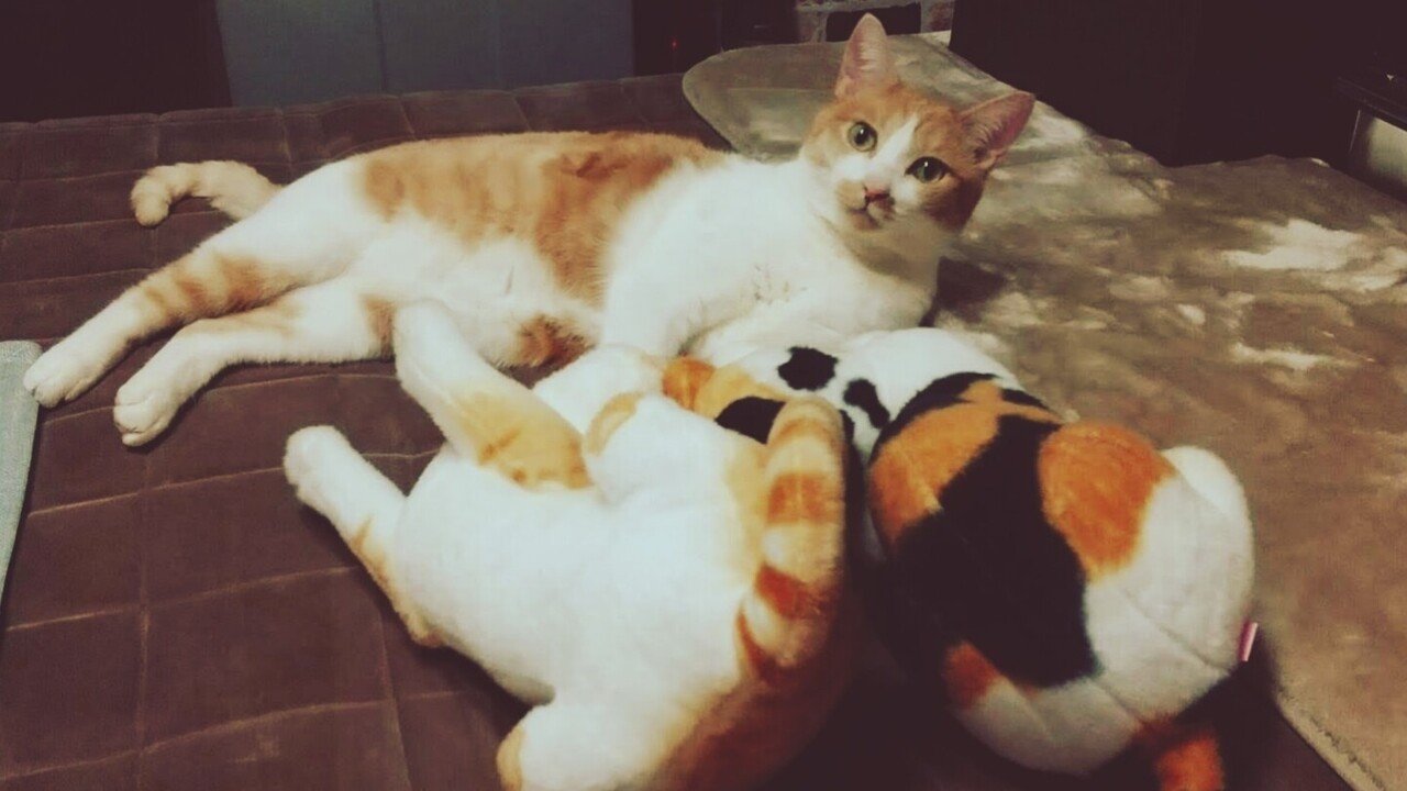 屋根に粗塩を使うのは何ですか？