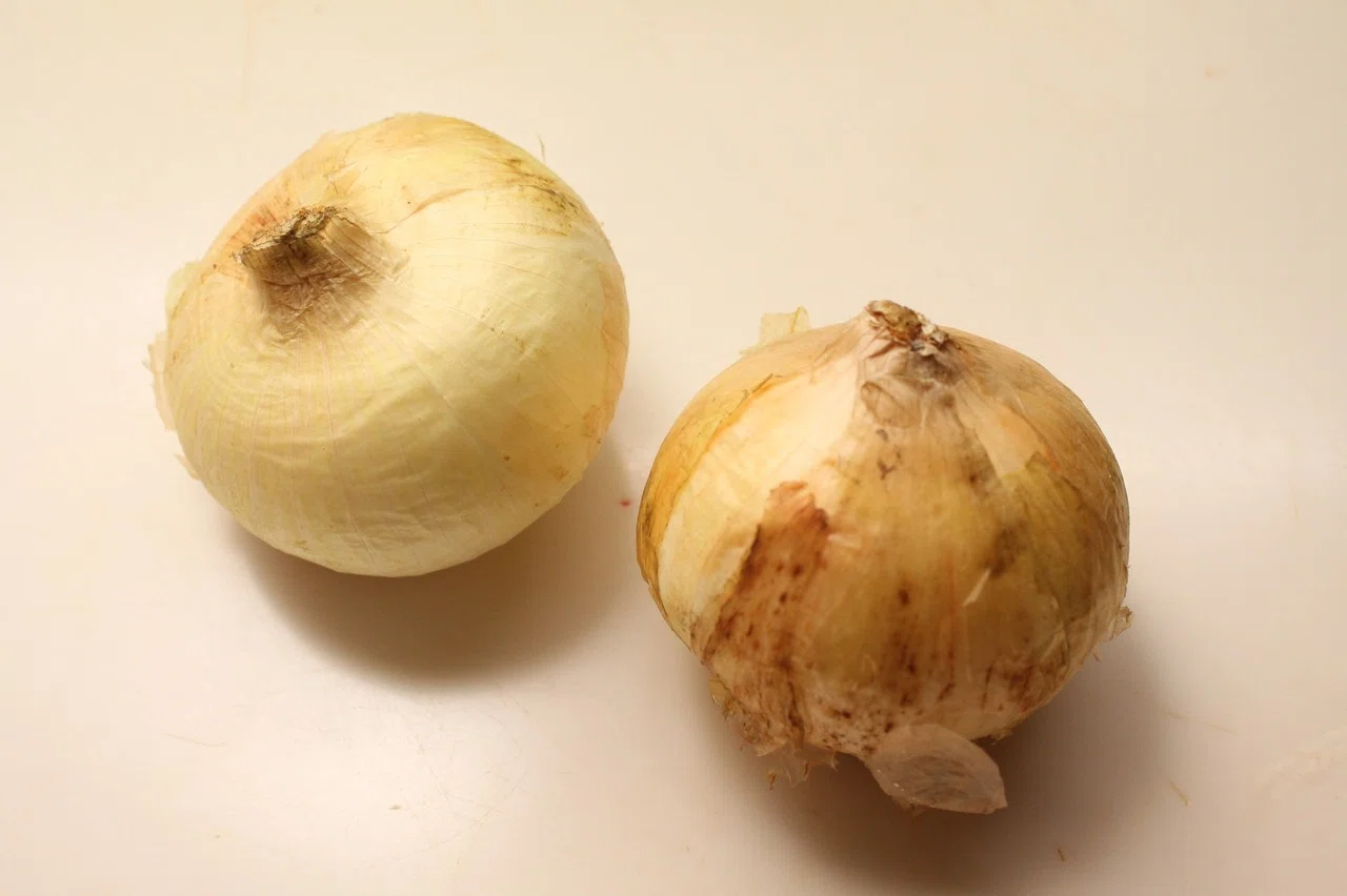新玉ねぎのロースト 樋口直哉 Travelingfoodlab Note 新玉ねぎのロースト 樋口直哉 Travelingfoodlab Note