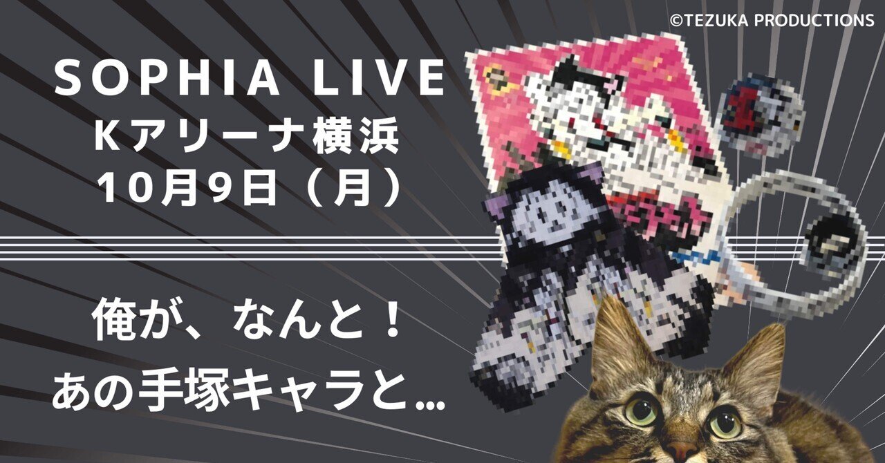 ネコの中のネコはやっぱりネコ｜黒柳 能生 公式note