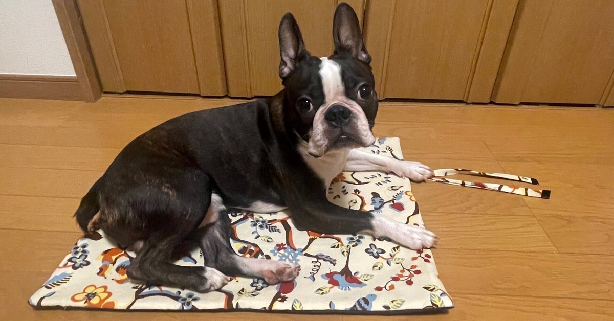 お犬様のカフェマットを作ってみた｜にゃんたろう