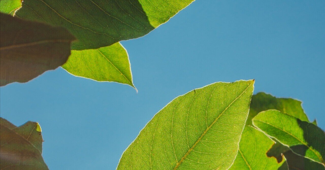 議会が売却を義務付ける法案を可決する中、TikTokは米国で禁止の可能性に直面している