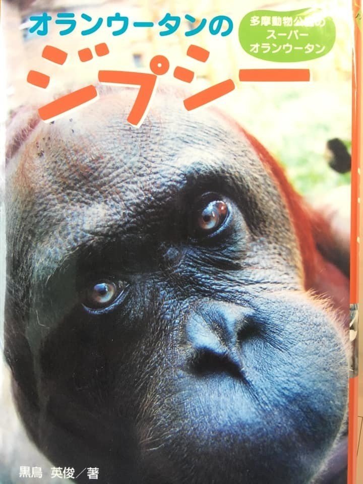 我が家の読み聞かせ オランウータンのジプシー なかたまやこ リトカル Note 我が家の読み聞かせ オランウータンのジプシー なかたまやこ リトカル Note