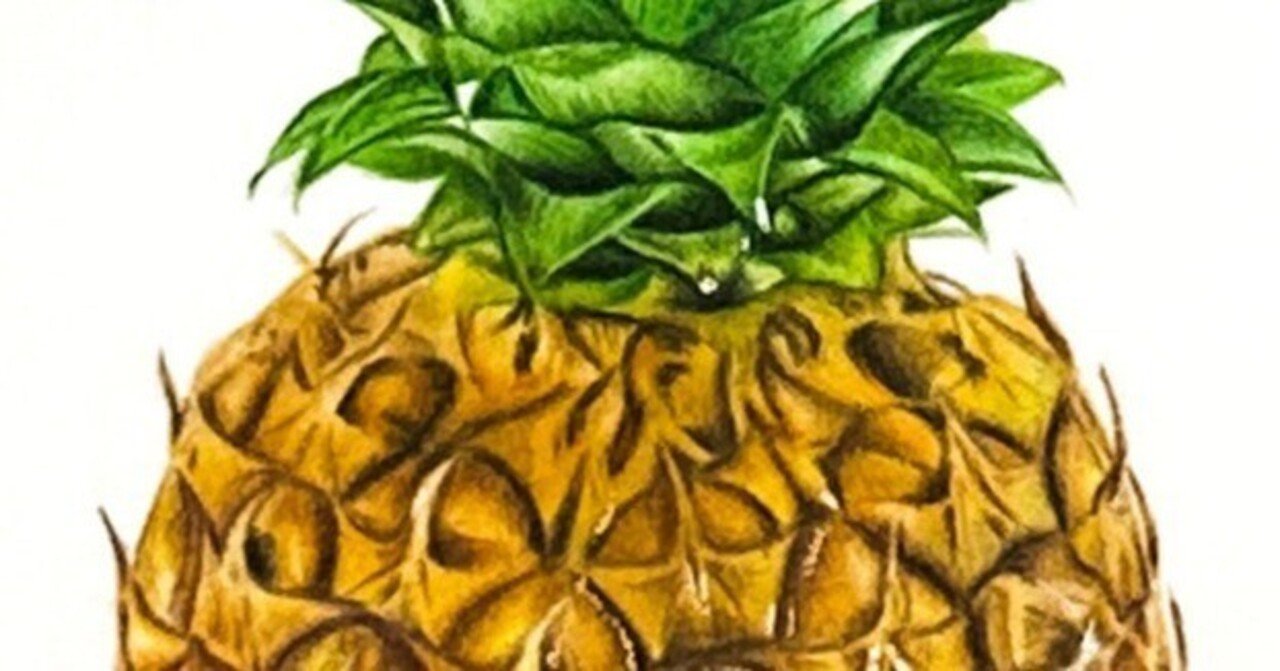 色鉛筆とパンパステルで描いた「パイナップル」です。｜ここまる