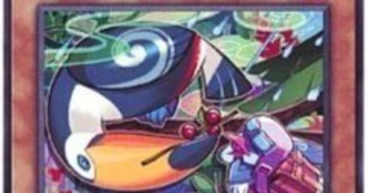 遊戯王 ドラグマ召喚獣デッキ 大会優勝構築済みデッキ