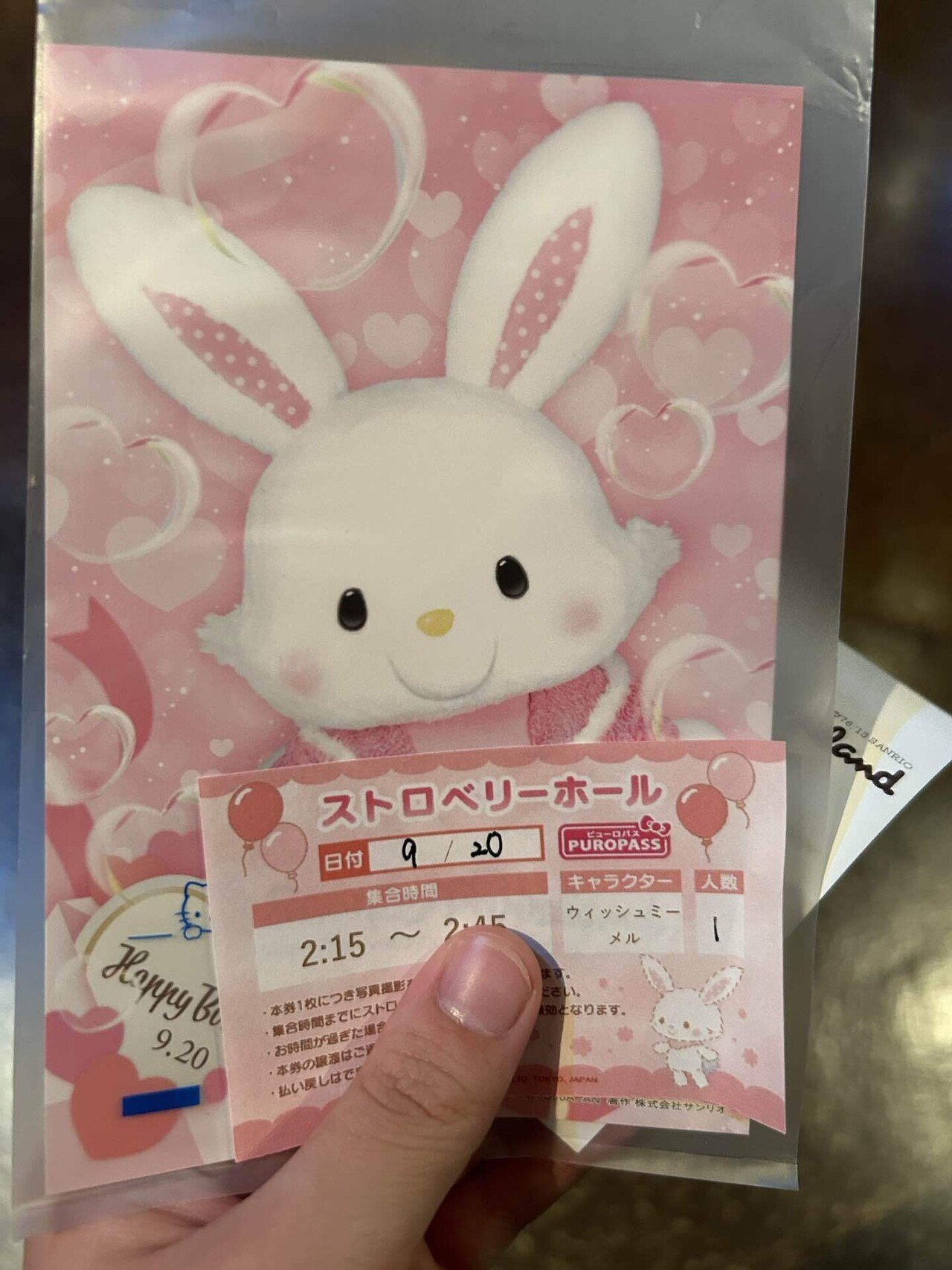 サンリオ ピューロランド ウィッシュミーメル 本日の