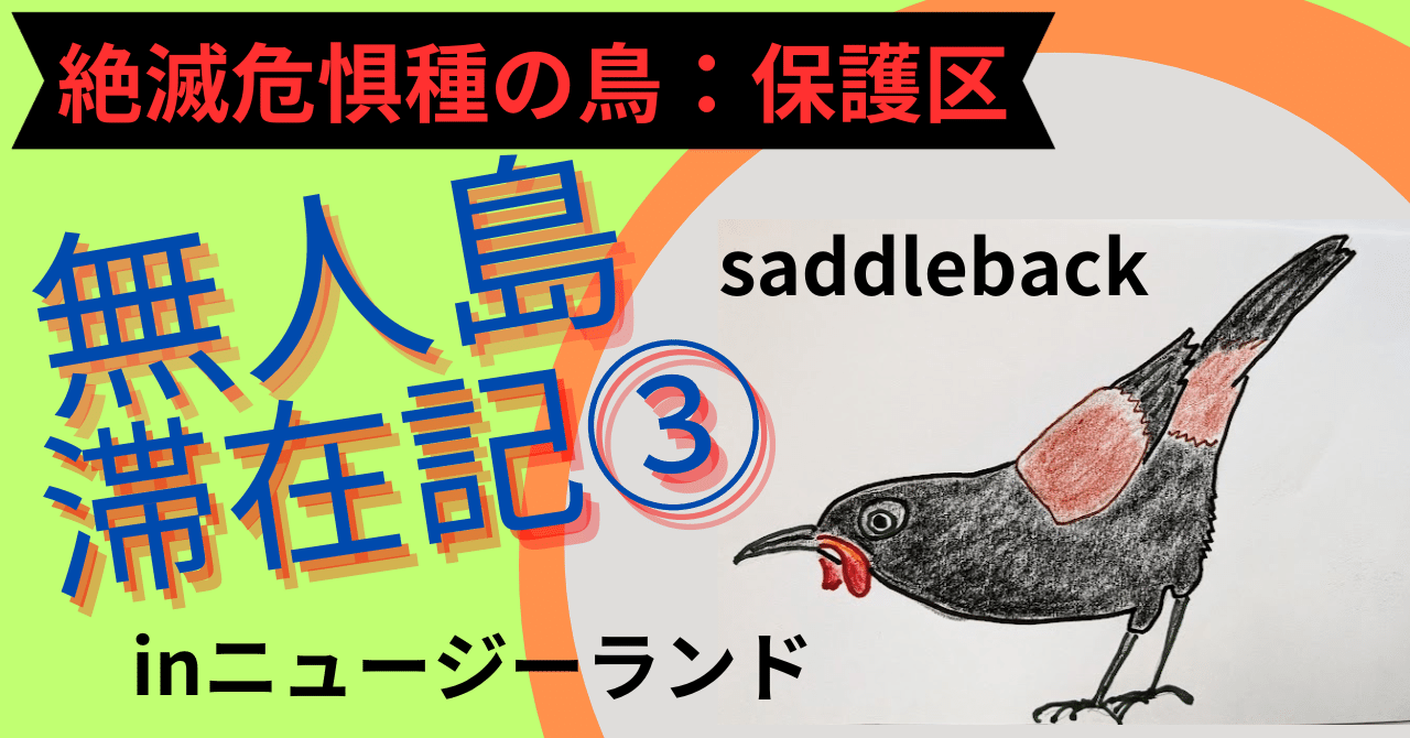 絶滅危惧種の鳥🌏無人島滞在記③ニュージーランドの外来害獣フリー計画