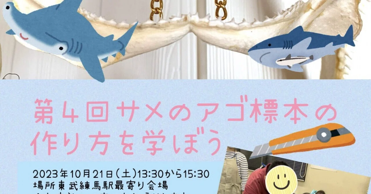 サメのアゴ標本の作り方を学ぼう！10/21都内イベント開催決定