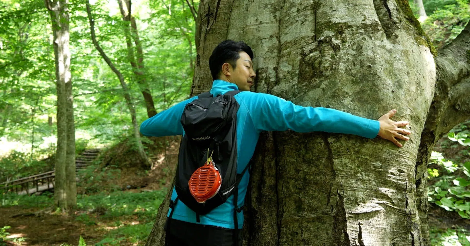 8千年の森…水の循環…壮大な自然ドキュメンタリー！白神山地でAD木暮が