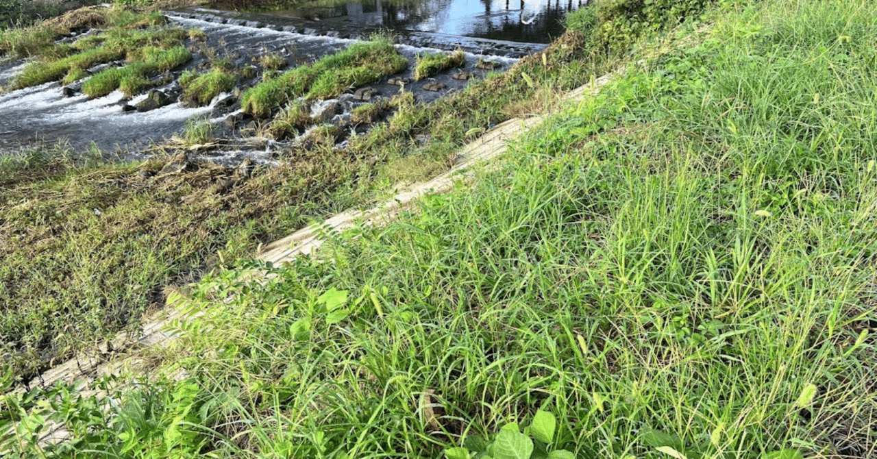 今日やったこと｜黒蜜かすてら(23)