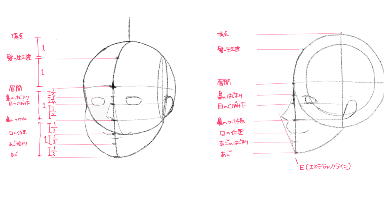 イラスト修行/顔の比率、世界標準の描き方｜もしもしすし, image size:1280x670