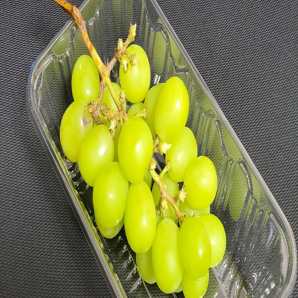 種入ってるんですけど？（＾＾＃）【シャインマスカット解説】｜aosagi