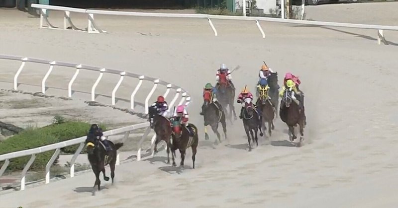 9/21園田競馬と闘うnote:11R園田プリンセスカップパドック後予想(3連単)