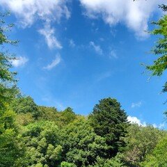 久保時シリーズ（生徒会執行部・WILDADAPTER）情報まとめ ※8/1追記