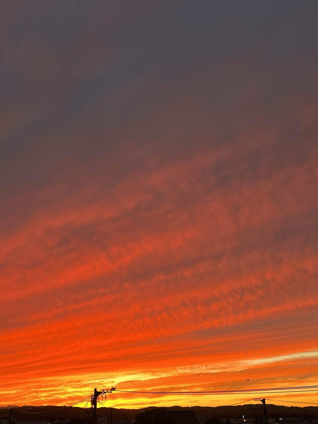 GAHGA 光れーる　君との夕焼けオレンジ rectangle_large_type_2_75c7bb2