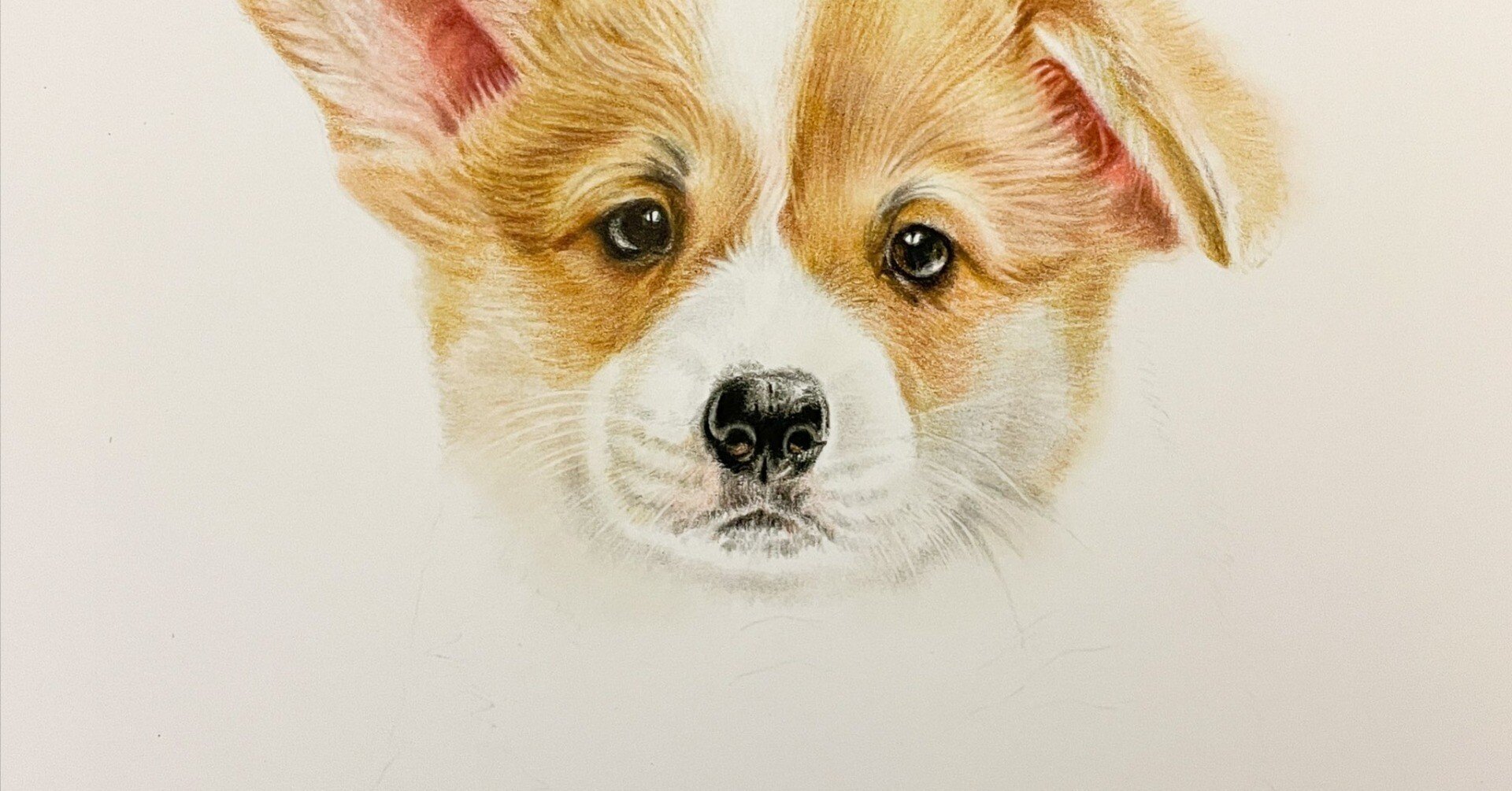 コーギー ウェルシュコーギー 犬 犬の絵 原画 絵画 鉛筆画 手描き 
