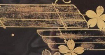 0d26998a77bd6e2912cc5eaf5266f5