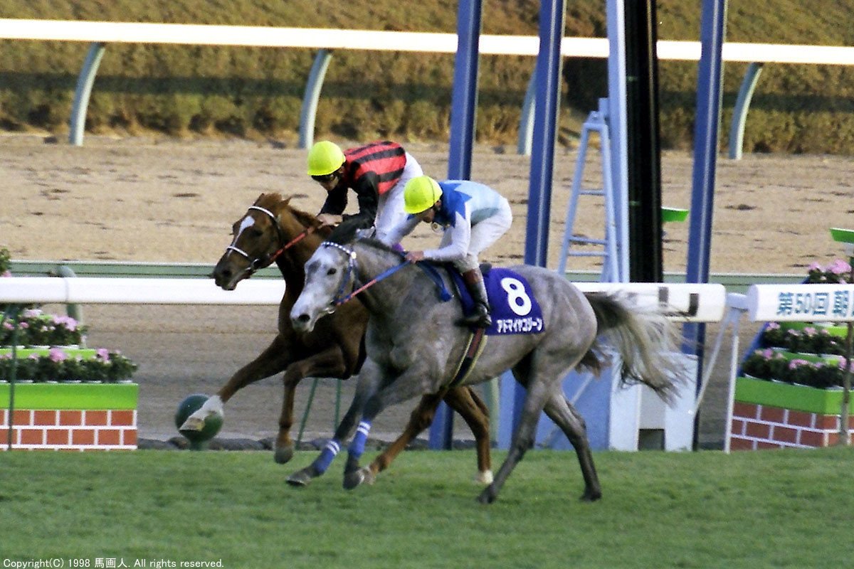アドマイヤコジーン　朝日杯　馬券 アドマイヤコジーン朝日杯馬券