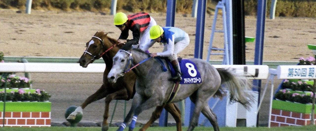 第50回朝日杯3歳ステークス：蔵出し写真 1998年⑧アドマイヤコジーン