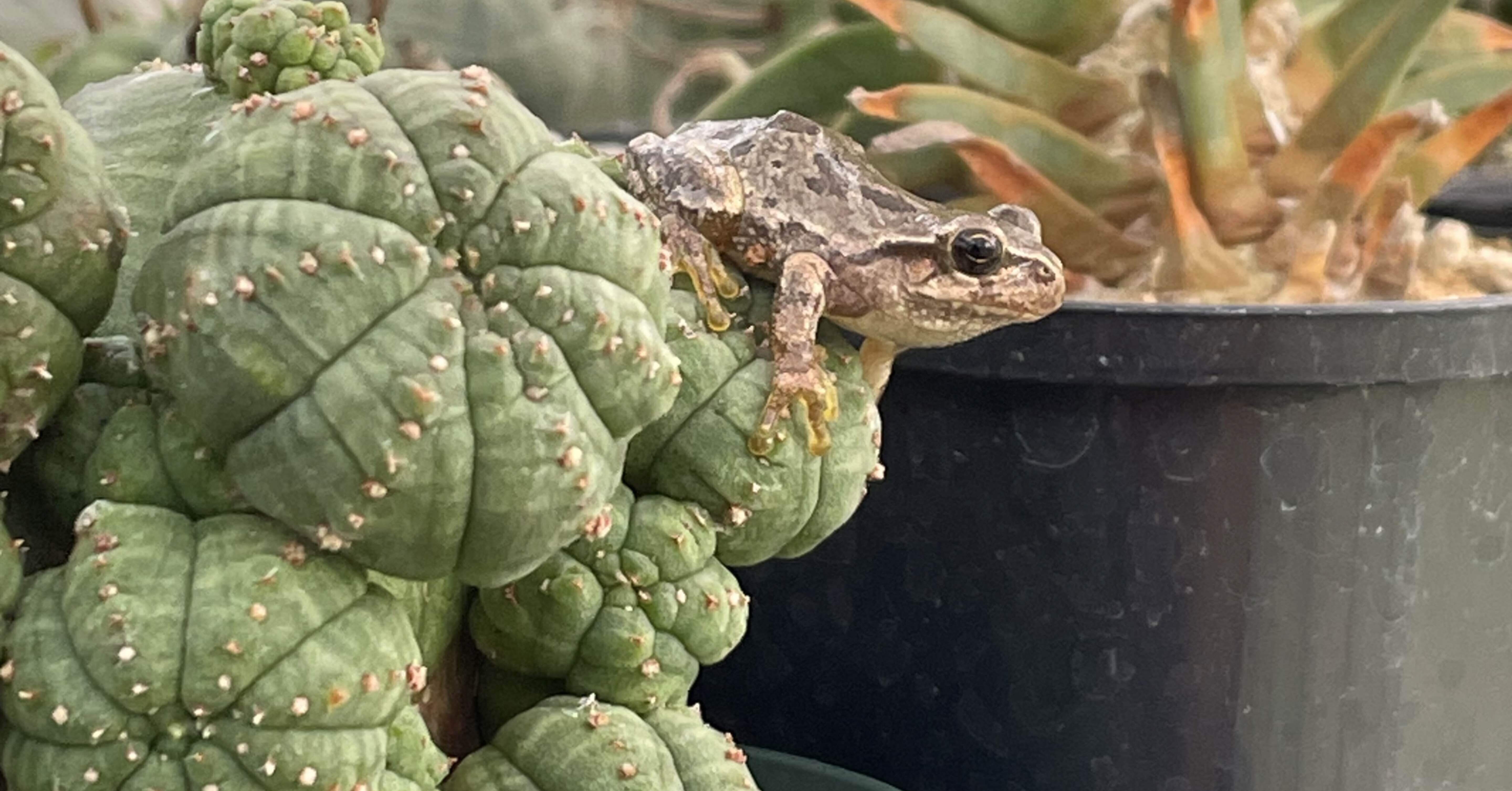 0a97ad4db312f0bcf60591ccf983bf