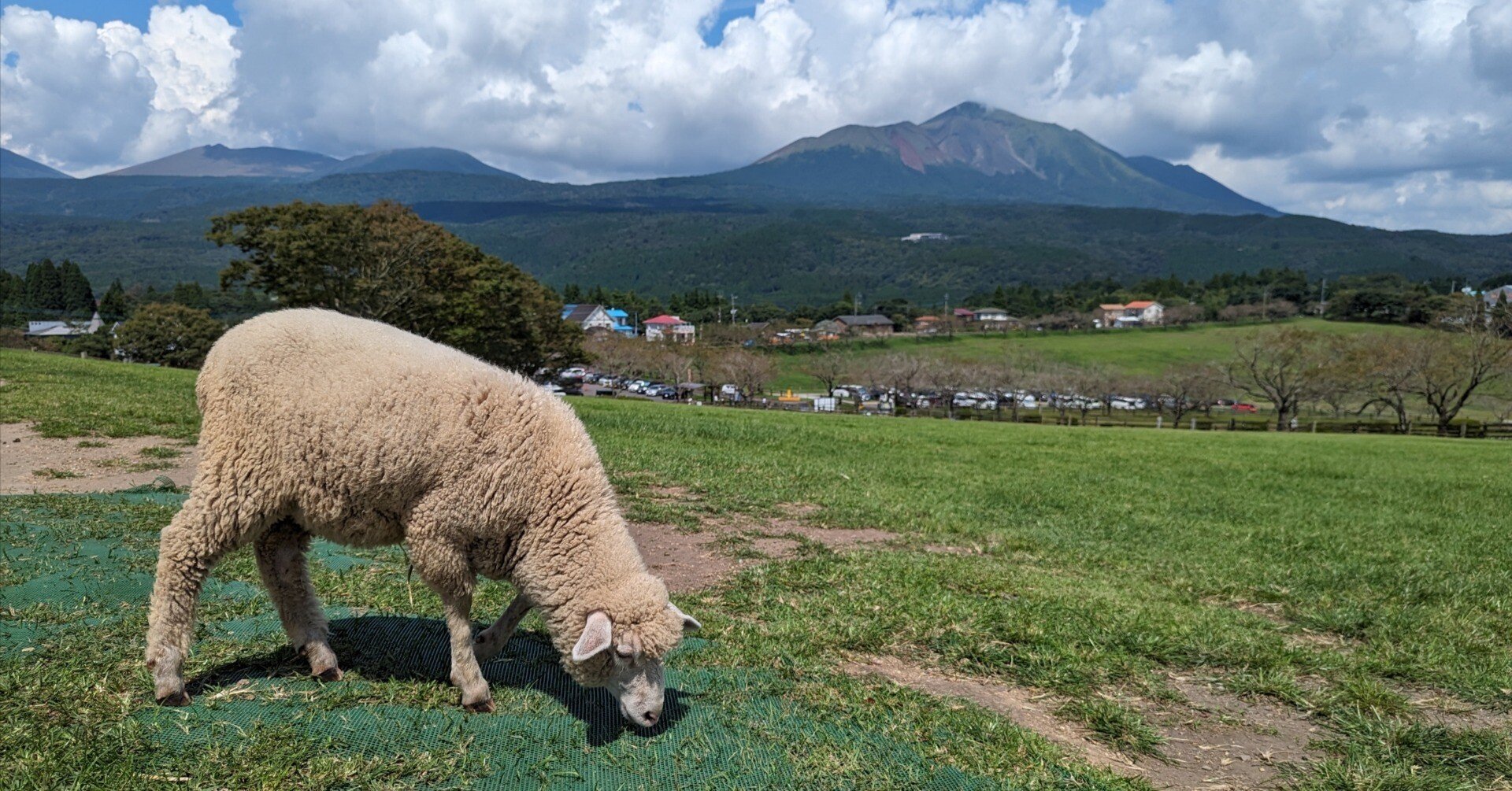 38192b1c962ef2489fb4c8a3859745