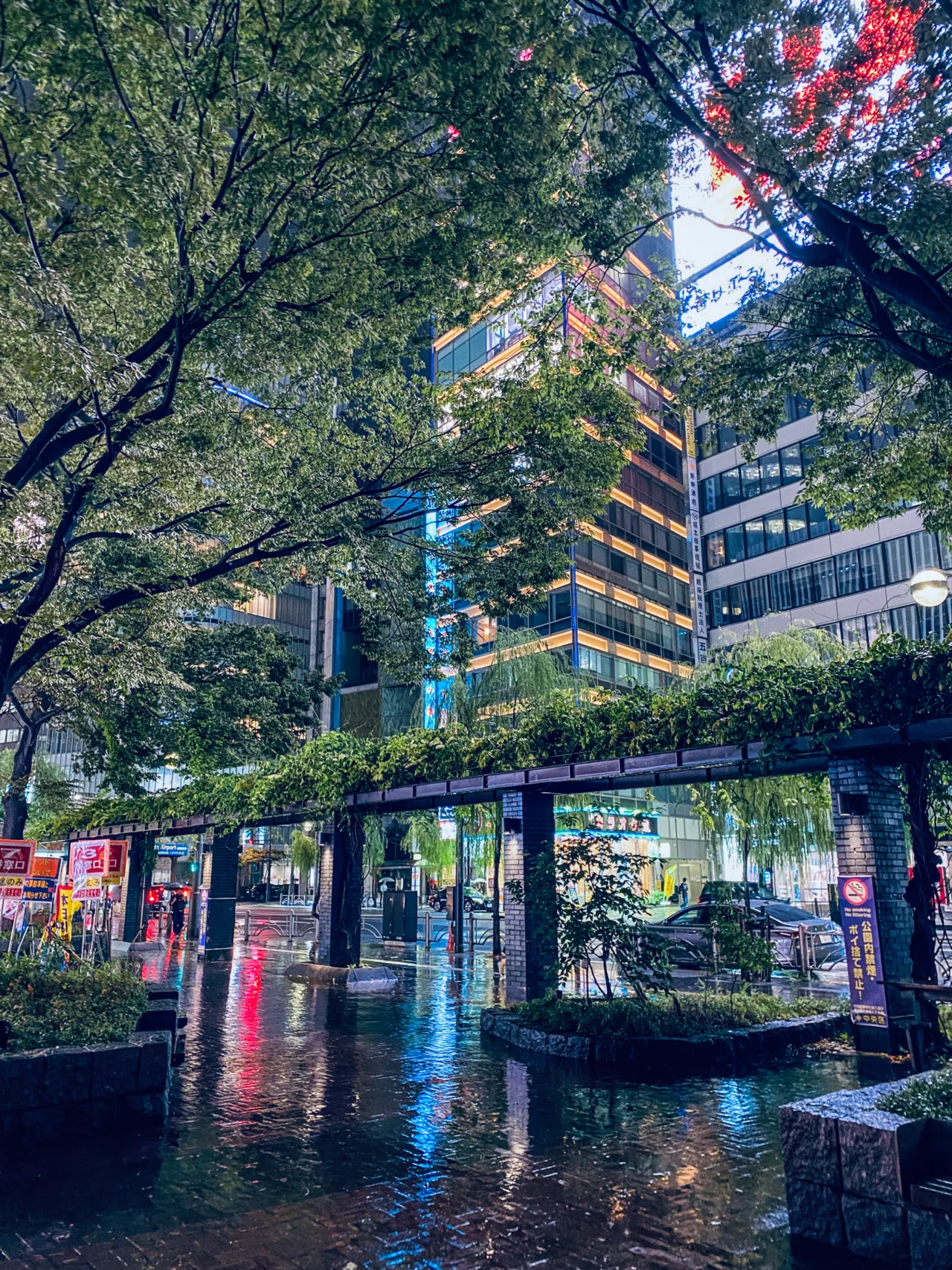 ぶらり散歩】夜の銀座はしっとりとした雨が似合う｜エアトラベラー