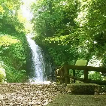 セイリュウ