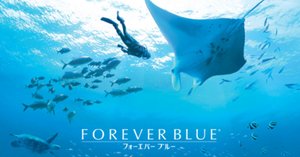 ゲームレビュー】FOREVER BLUE 海の呼び声ーーダイビングゲーム