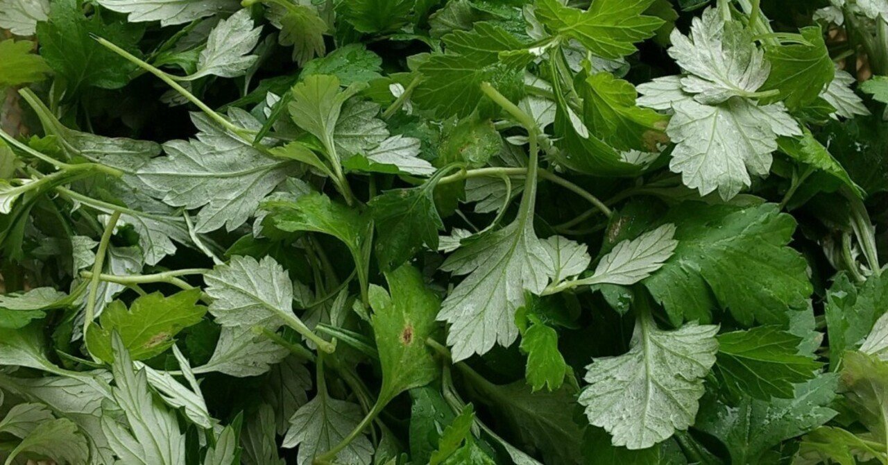 家庭で使える薬草107種 | 中村 臣市郎 |本 | 通販 | Amazon
