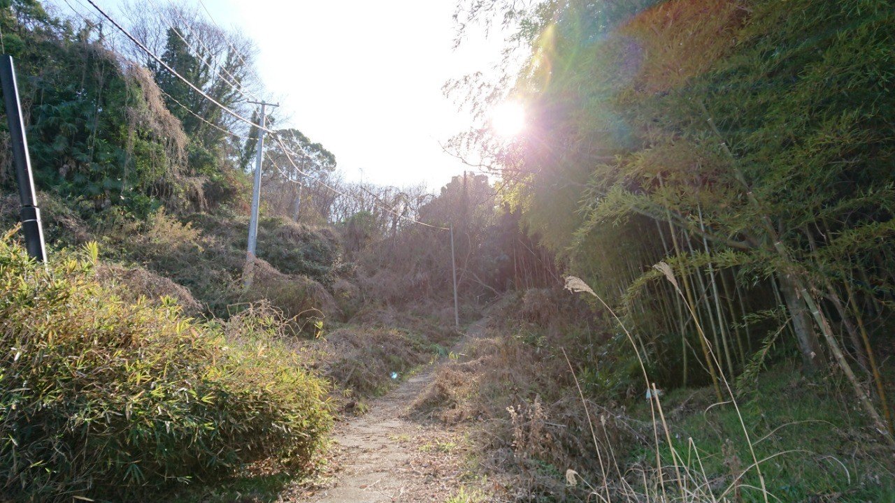 みくまりの谷深 小川幸辰 Lousism Note みくまりの谷深 小川幸辰 Lousism Note