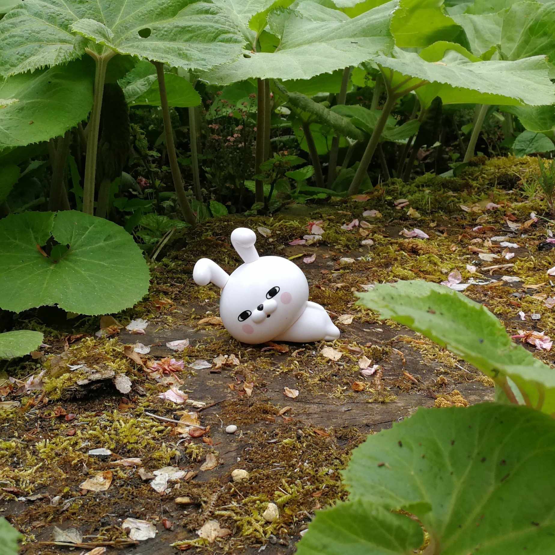 て 鼻くそ が 痛い 固まっ