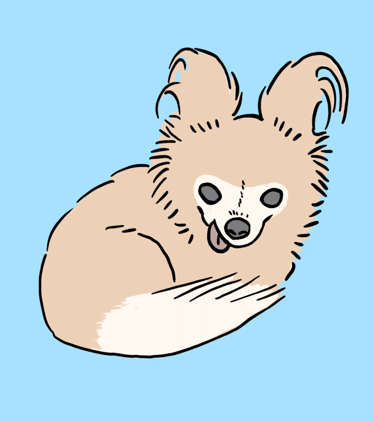 ラクガキ チワワ Soya Note