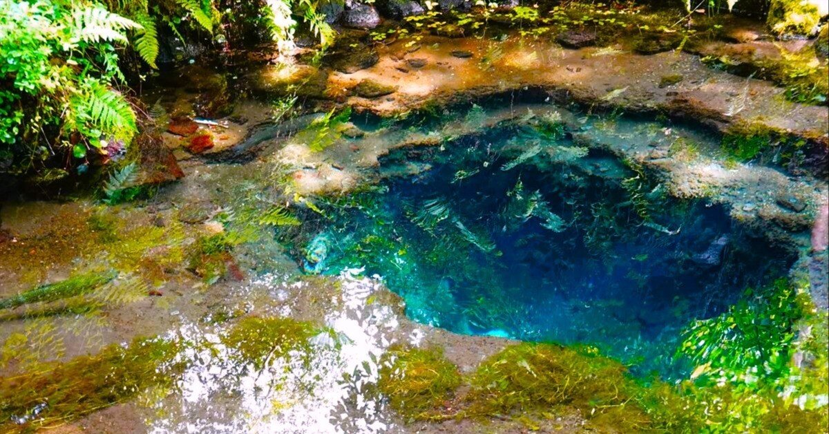 cb56970981c69fa9538bd00804d96e