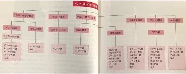 おすすめラテン語教材 ナツメ社の 基本から学ぶラテン語 は概要をつかむのにピッタリ ヤシロ 八代矢於紀 怪談 フォークロア 怪奇文学を集めるのが好き な読書マニア Note
