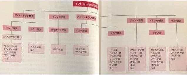 おすすめラテン語教材】ナツメ社の『基本から学ぶラテン語 』は概要をつかむのにピッタリ！｜ヤシロ・ラビット🐇「脳・心・論理」に関するSFテーマや夢日記をイラスト入りエッセイで綴る謎の白兎