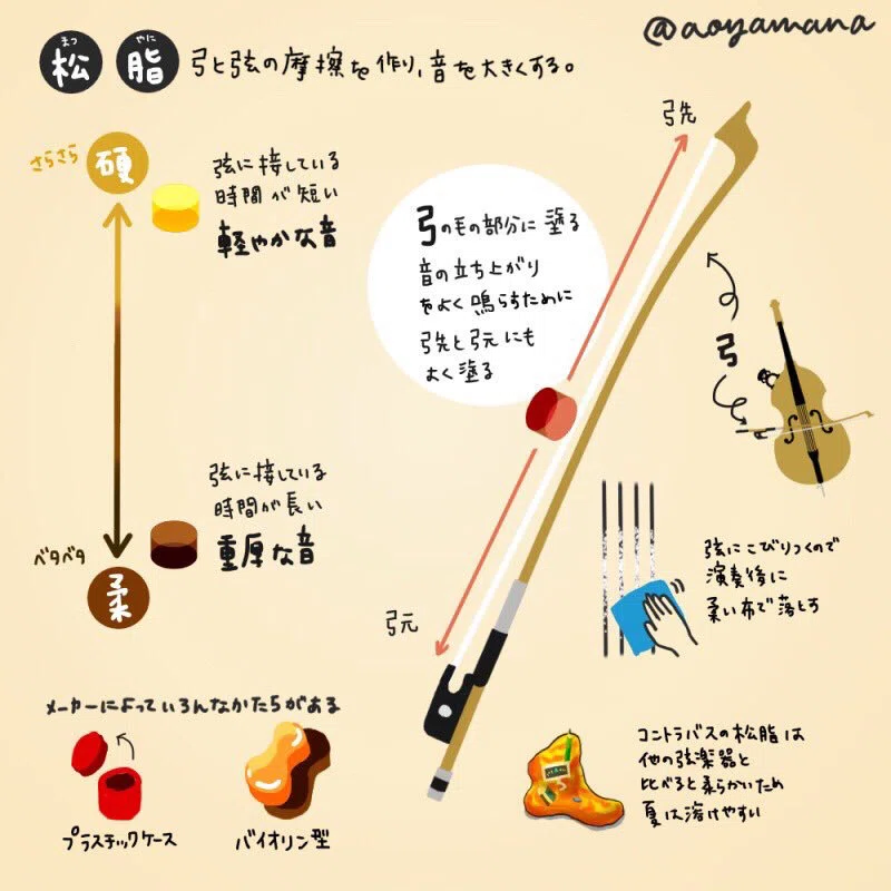 わたしのコントラバス練習方法｜aoyamana