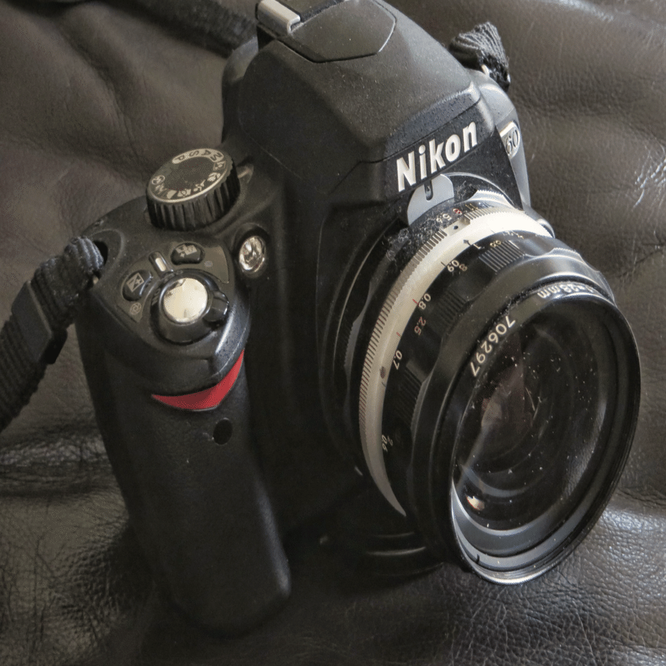 Nikon D60｜元田中マロ