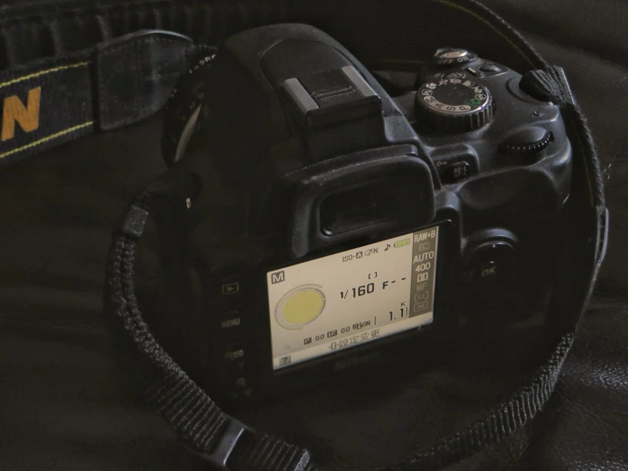 Nikon D60｜元田中マロ