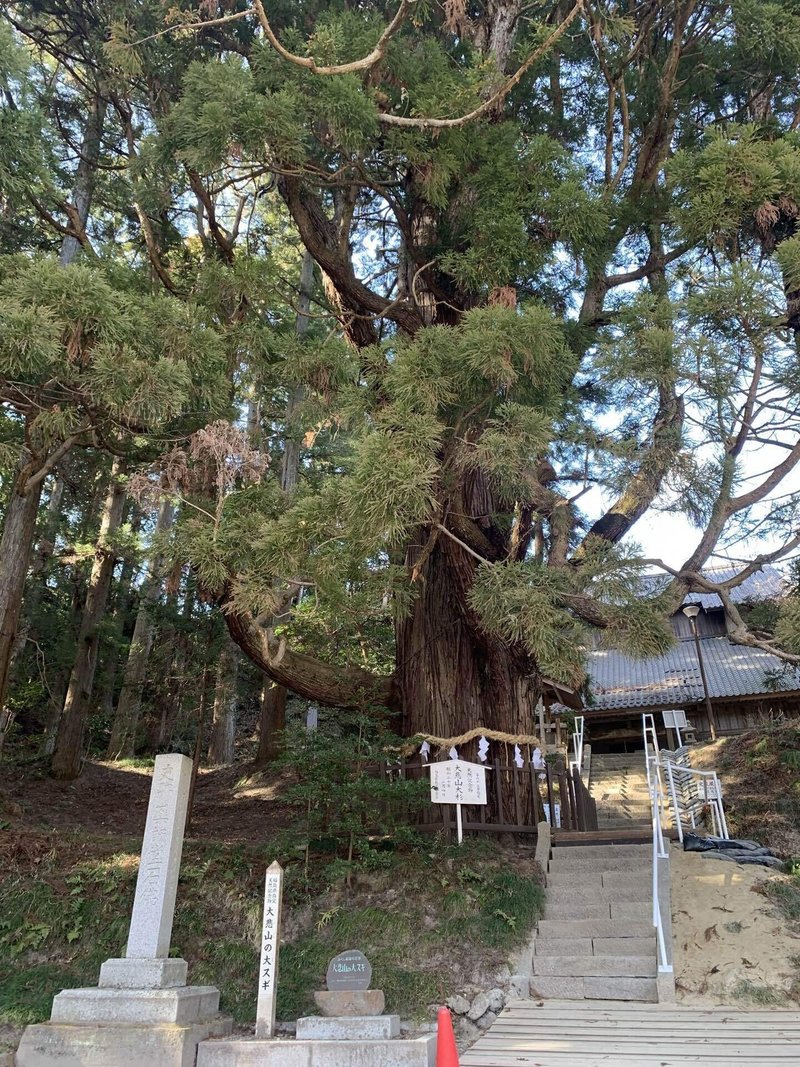 大悲山の磨崖仏|きだ