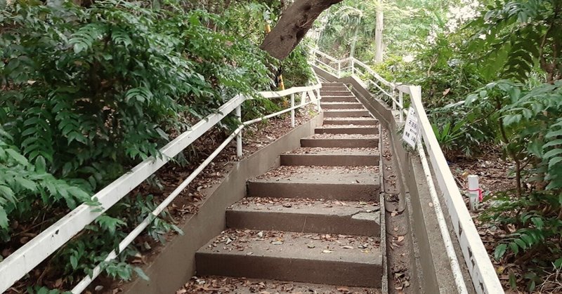 地獄坂沿い・相模台公園入口の階段（千葉県松戸市）