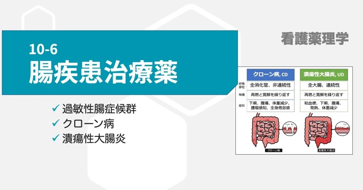 Medication Stools 10-6 Drugs for Intestinal Diseases|こはく堂薬局