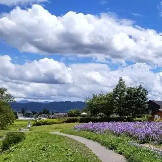 heath