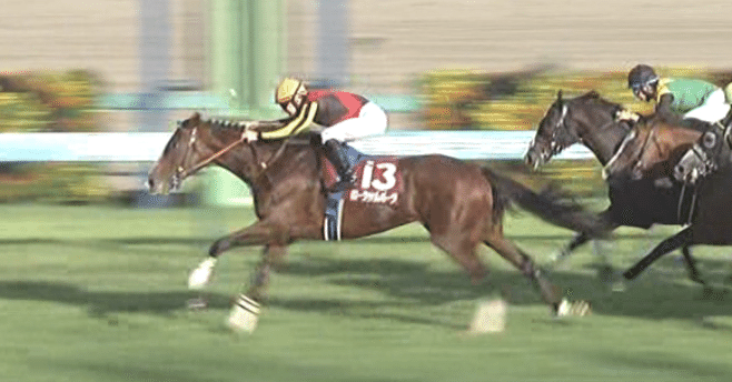 レース回顧Vol.351】第69回産経賞オールカマー｜それみあ