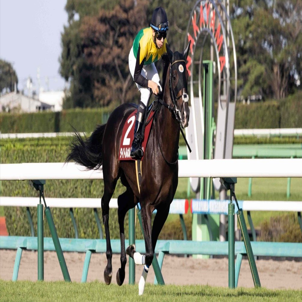 競走馬撮影②(EOS R6 mark2+RF100-400mm F5.6-8 IS USM)｜ひかるさん