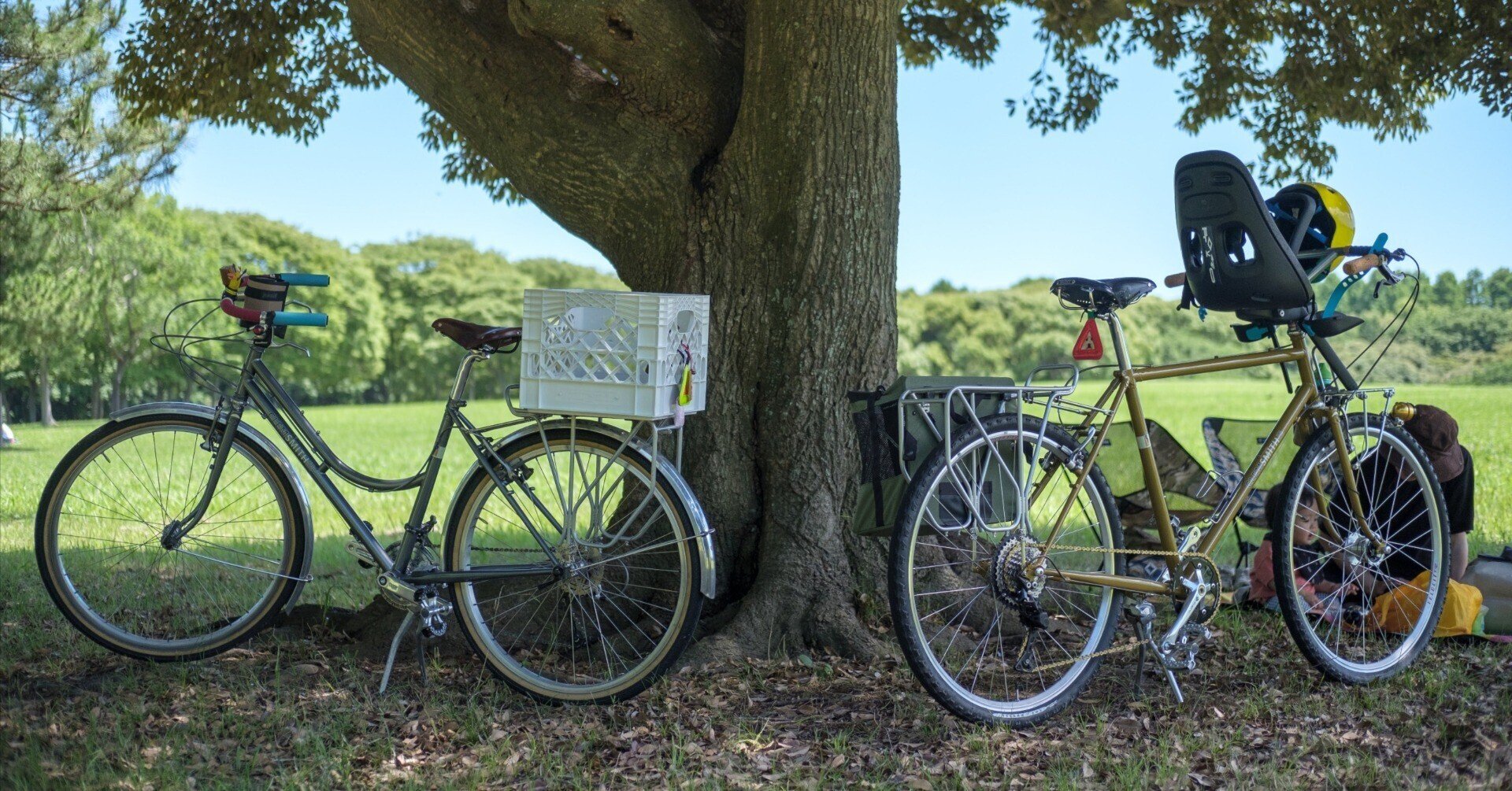 ステートサイクル　57サイズ　緑 ステートサイクル 57サイズ 緑