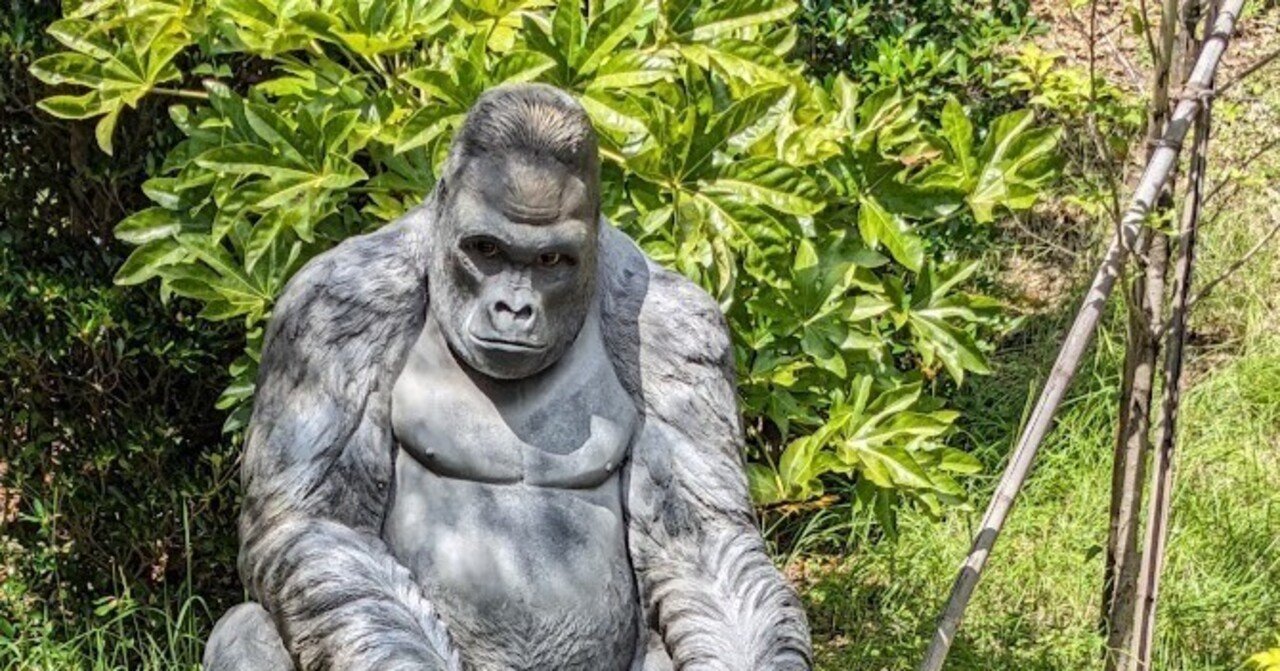 世界のゴリラさん 世界ゴリラの日に見かけたいろいろまとめ｜びぶ
