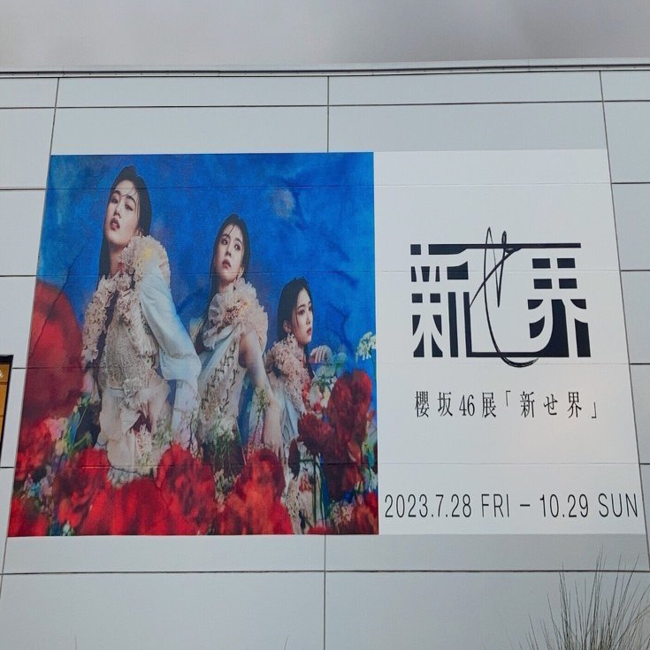 大樹と巡る 櫻坂46｢新せ界｣｜めんでる