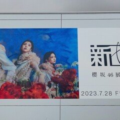 櫻坂46 関有美子卒業セレモニー レポ｜めんでる